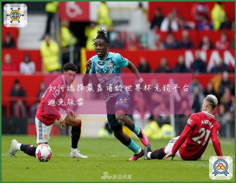 如何选择最靠谱的世界杯竞猜平台避免踩雷