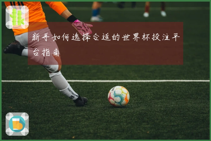 新手如何选择合适的世界杯投注平台指南