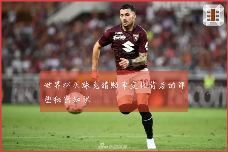 世界杯买球竞猜赔率变化背后的那些秘密知识