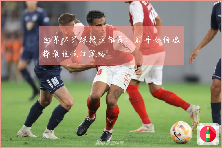 世界杯买球投注推荐：新手如何选择最佳投注策略