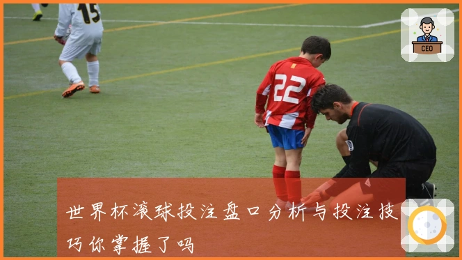 世界杯滚球投注盘口分析与投注技巧你掌握了吗