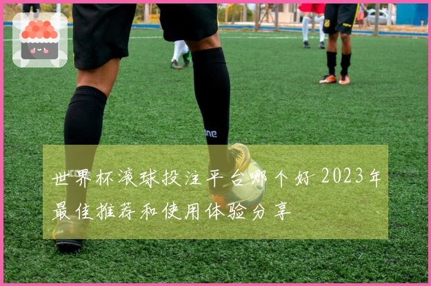 世界杯滚球投注平台哪个好 2023年最佳推荐和使用体验分享