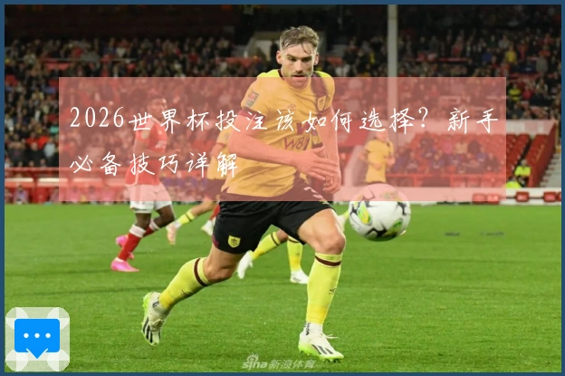 2026世界杯投注该如何选择？新手必备技巧详解