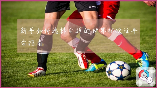 新手如何选择合适的世界杯投注平台指南