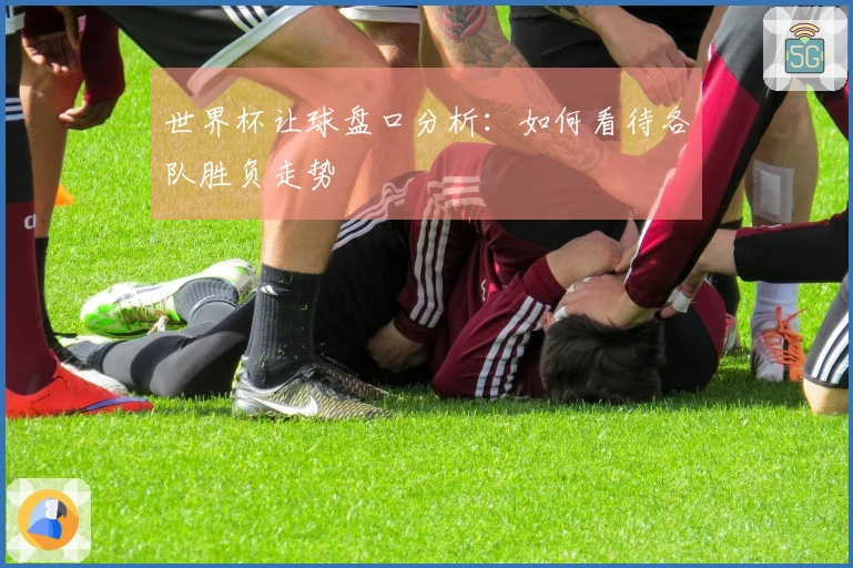 世界杯让球盘口分析：如何看待各队胜负走势